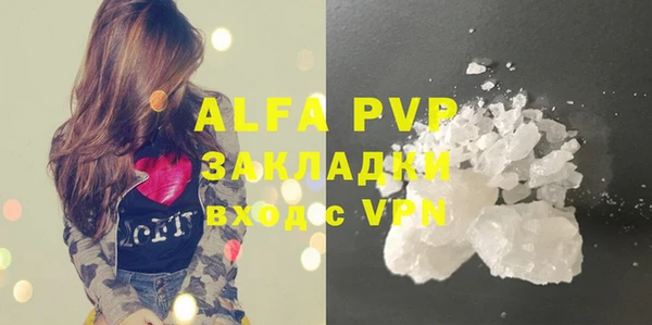 spice Дмитриев