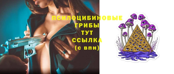 spice Дмитриев