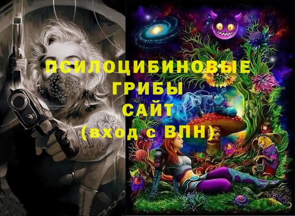 apvp Дмитров