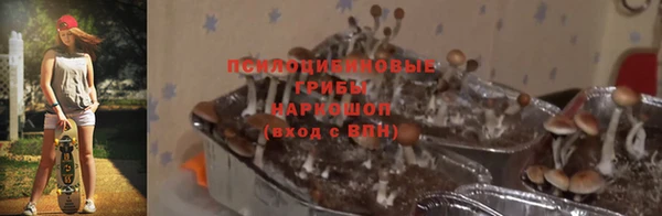 spice Дмитриев