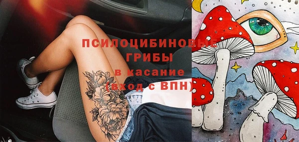apvp Дмитров