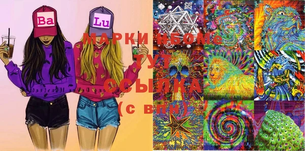 spice Дмитриев