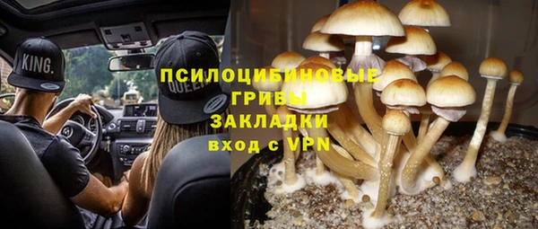 apvp Дмитров