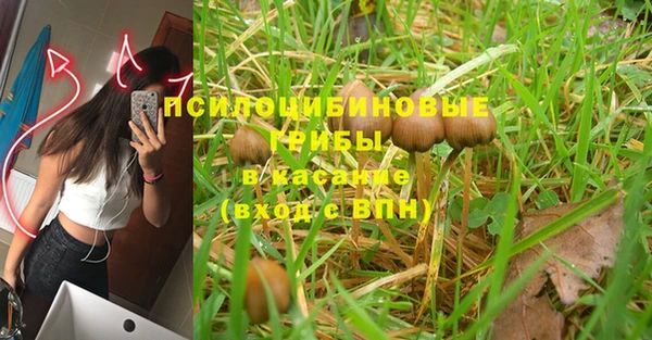 spice Дмитриев