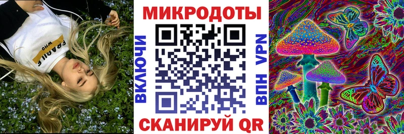 Псилоцибиновые грибы прущие грибы Хотьково